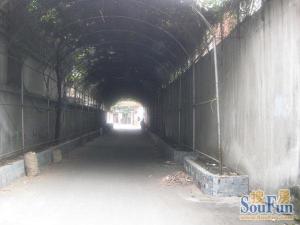 东方公司宿舍3室2厅西南