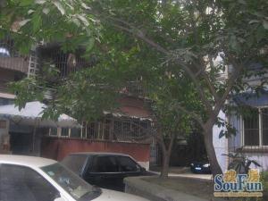 营通街67号 3室2厅 东 东南