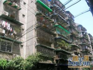 圃园路6号院 3室1厅 西