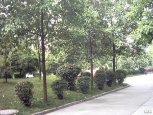 安居苑(温江) 2室2厅 东南