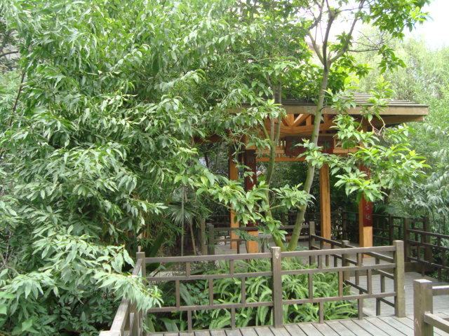 小区相关图