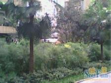 学林雅园 安静不吵 采光好 安心出售 小区环境好