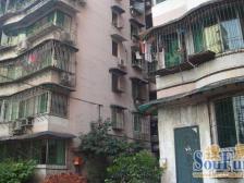 向乐村 1室1厅 南