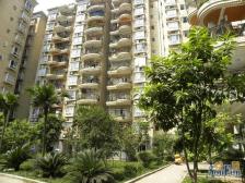 桃花里 1室1厅 南