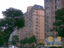 精装修,三开间朝南,全明三房,老少皆宜的楼层,随看