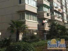 全新装修设计餐客分开空调中Y楼层采光好拎包入住