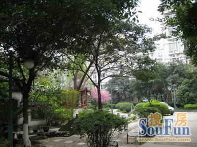 金房苑西苑实景图