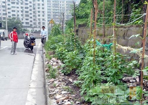 洗墨路小区