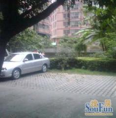 金华苑 3室2厅 东南