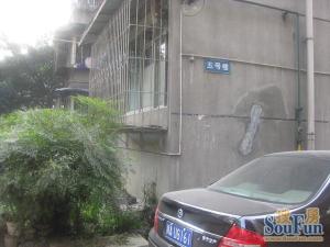 育苗路11号 3室1厅 东南