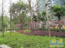 配套齐全,户型方正,出行方便,多美食休闲娱乐