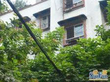 光电路 花园五村二房