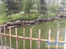 弹子石 金港尚城三房