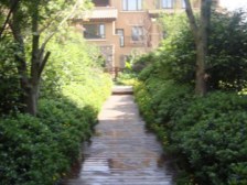 鸳鸯 龙湖蓝湖香颂四房650万