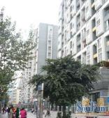 琴台路3室1厅东北