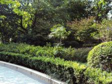 大石坝 沛东北陆新居三房78万