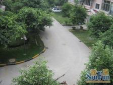 西岭路1号2室1厅南