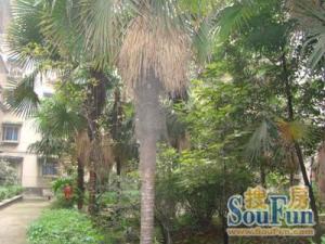 生态庭苑 4室1厅 南