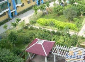 双丰路38号 1室1厅 东南 南