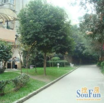 �����н�ʦ����