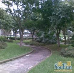 抚琴西路55号2室1厅东南南