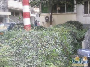 紫荆北路58号2室1厅东南