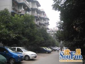 紫丁巷3号2室1厅南北