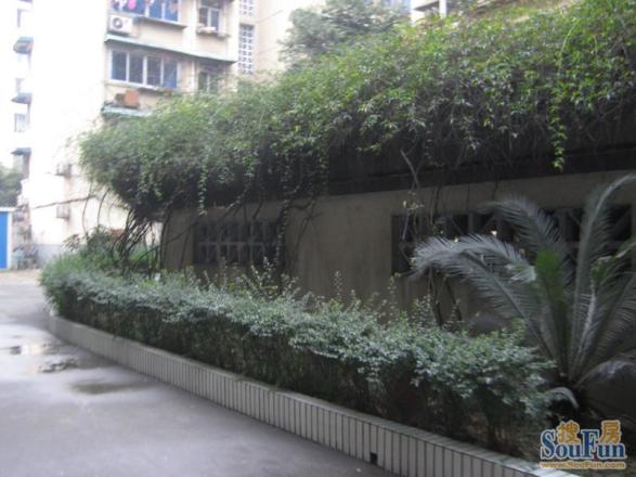 彩虹街61号院实景图