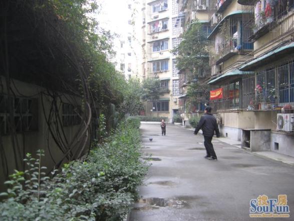 彩虹街61号院实景图