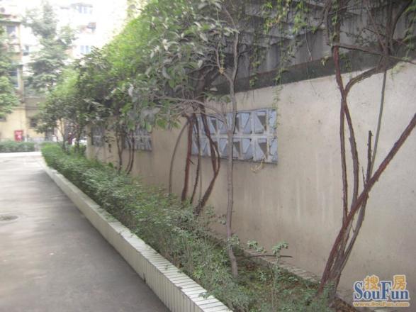 彩虹街61号院实景图