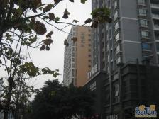 艺墅花乡 0室0厅 西北