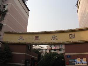 九里欣园1室1厅西南