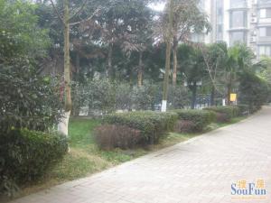 金色阳光 3室1厅 东南