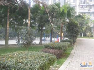 金色阳光 3室1厅 东南 西南