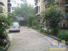 树蓓巷1号 2室1厅 南