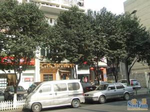 梧桐世家二期 1室1厅 北