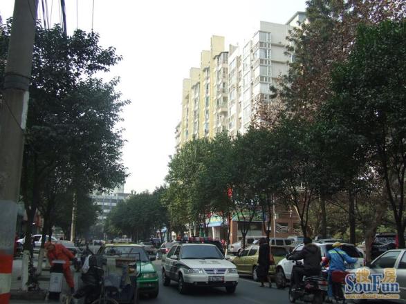 梧桐世家二期实景图