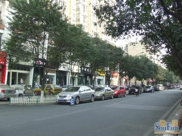 梧桐世家二期实景图