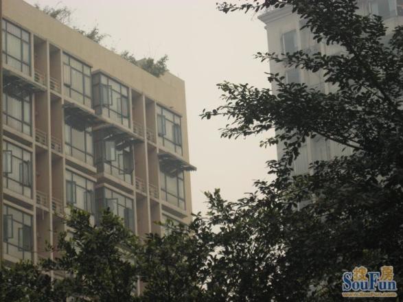 上品优空间实景图