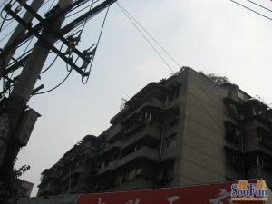 信禾人家(金牛)3室1厅东南