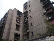 文家东巷3号 2室2厅 南