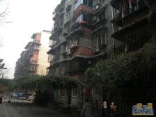营康西路65号2室1厅东南西北东南西北