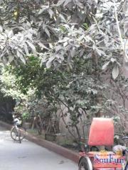 百花教师苑3室2厅南