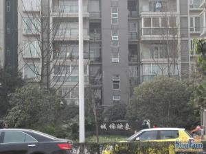 城楠映象3室2厅西南