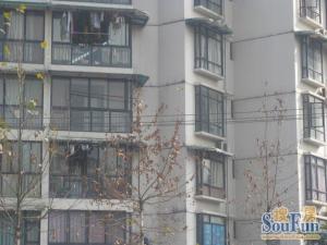 今日家园2室2厅西南