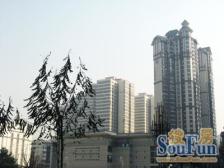 仁恒国际二层复试电梯房 园林小区 可按揭