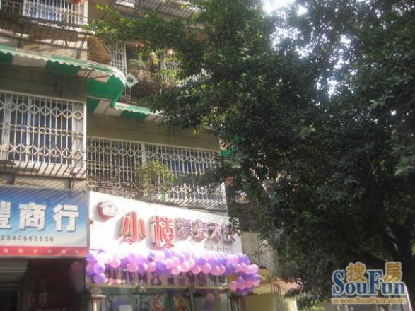 圃园路4号院实景图