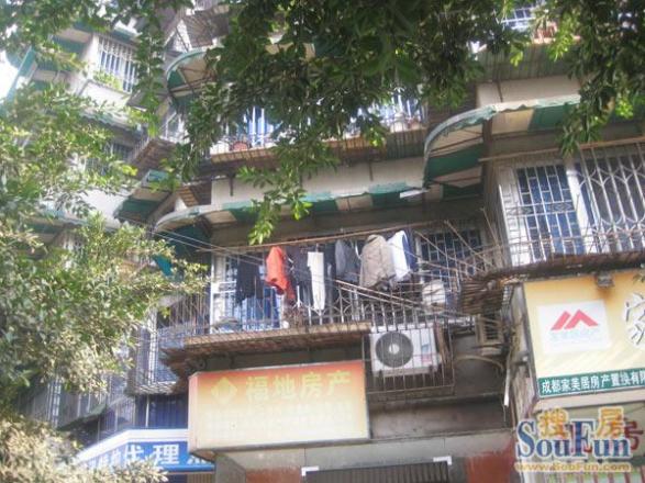 圃园路4号院实景图