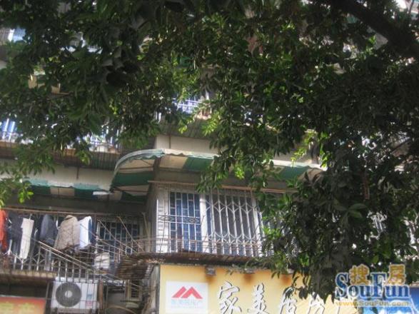 圃园路4号院实景图