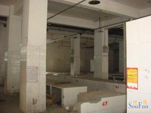 光辉岁月 2室1厅 南